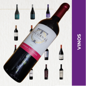 Tocornal Cabernet Sauvignon Vino Tinto 750ml